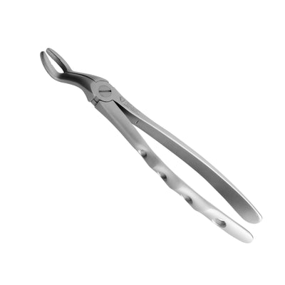 Tooth Extraction Forceps &gt; Extraction Forcep Premium