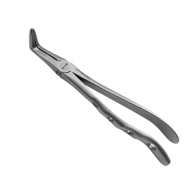 Tooth Extraction Forceps