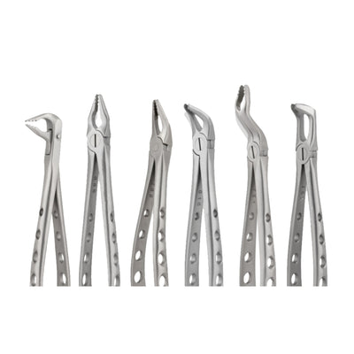 Tooth Extraction Forceps &gt; Deep Root Forcep