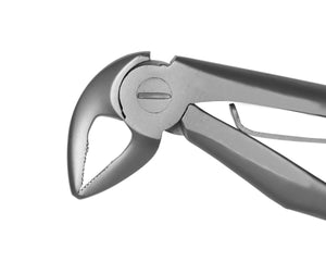 TRUST & CARE EXTRACTION FORCEP LOWER ROOTS (PEEDO) T-067 STANDARD