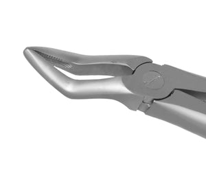 TRUST & CARE EXTRACTION FORCEP UPPER ROOTS (PEEDO) T-064 STANDARD