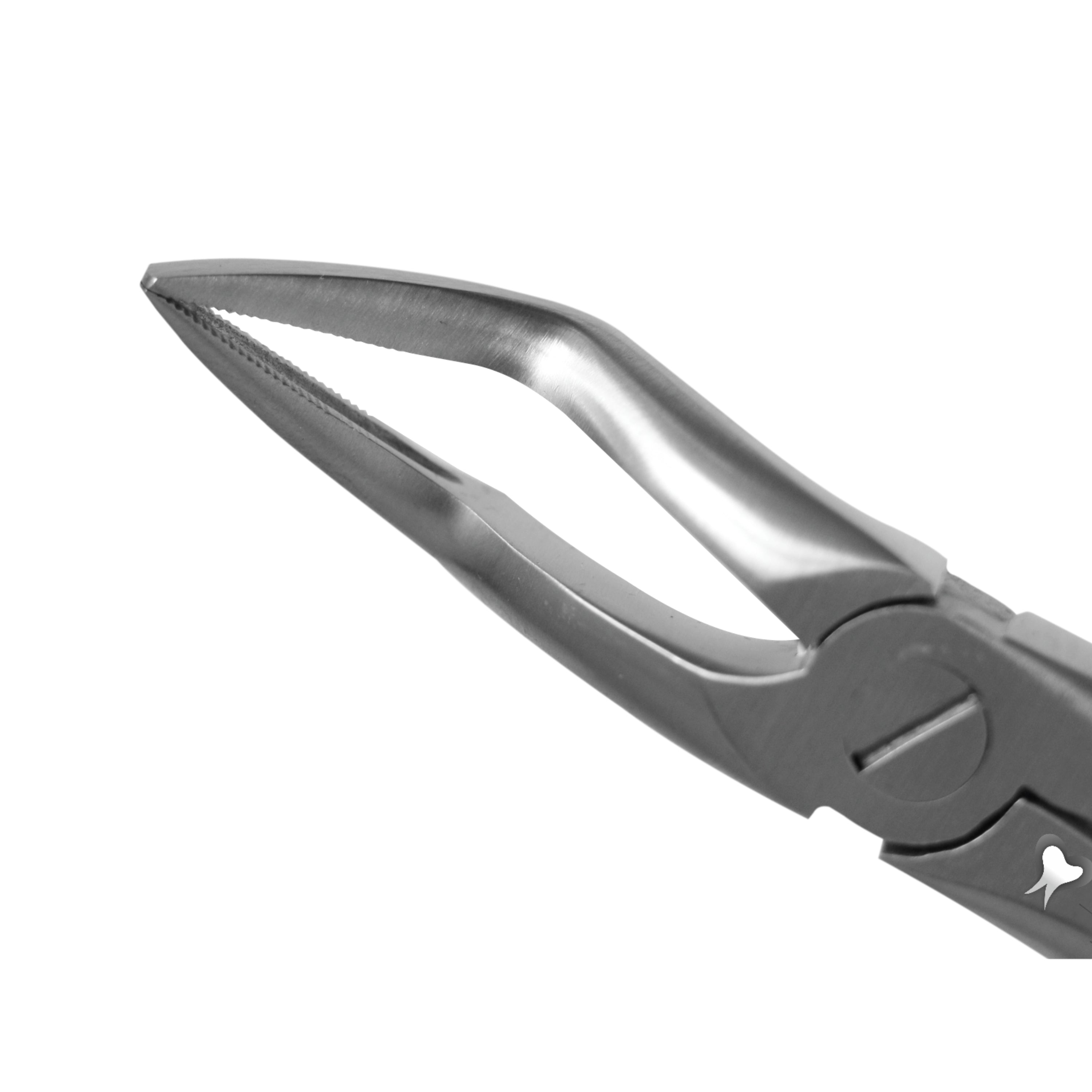 TRUST & CARE TOOTH EXTRACTION FORCEP UPPER ROOTS FIG NO. 51 STANDARD ...