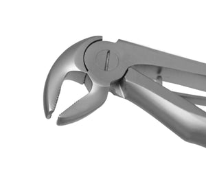 TRUST & CARE EXTRACTION FORCEP LOWER PREMOLARS (PEEDO) T-065 STANDARD
