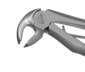 TRUST & CARE EXTRACTION FORCEP LOWER MOLARS (PEEDO) T-066 STANDARD
